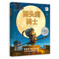 猫头鹰骑士