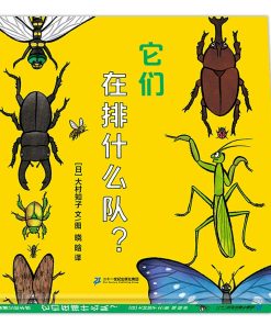 这是什么队列系列：它们在排什么队？