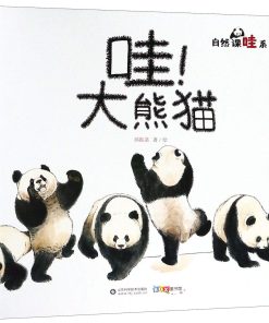 哇！大熊猫