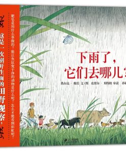下雨了，它们去哪儿？