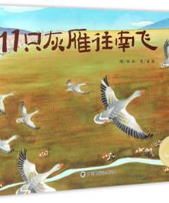 11只灰雁往南飞