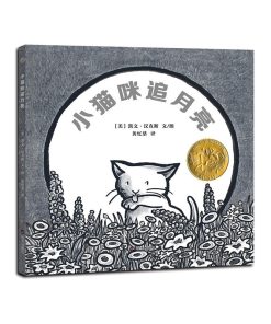 小猫咪追月亮