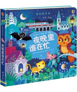 奇妙发声书：夜晚里谁在忙