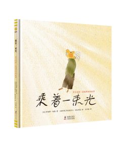 乘着一束光：阿尔伯特·爱因斯坦的故事