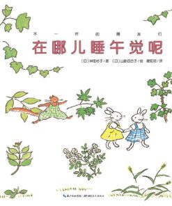 在哪儿睡午觉呢？