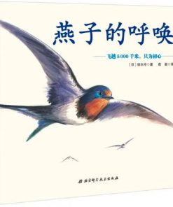 燕子的呼唤