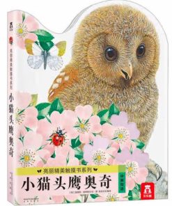 亮丽精美触摸书：小猫头鹰奥奇（中英双语）