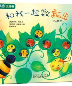 和我一起数瓢虫·认数字