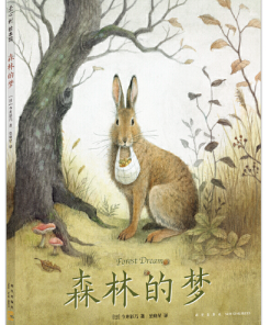森林的梦