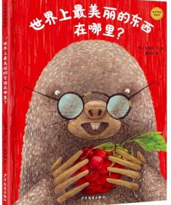 世界上最美丽的东西在哪里？