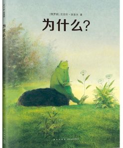 无字绘本：为什么？