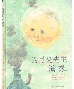 为月亮先生演奏