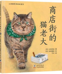 商店街的猫老大