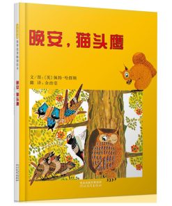 晚安，猫头鹰