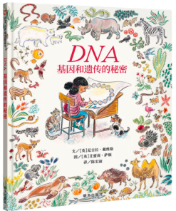 DNA基因和遗传的秘密