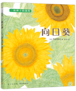 一粒种子的旅程：向日葵