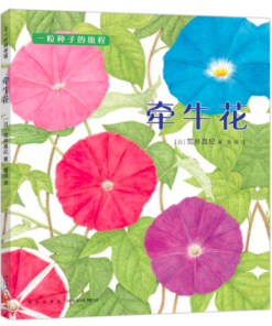 一粒种子的旅程：牵牛花