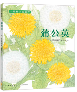 一粒种子的旅程：蒲公英