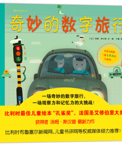 奇妙的数字旅行