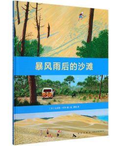 暴风雨后的沙滩