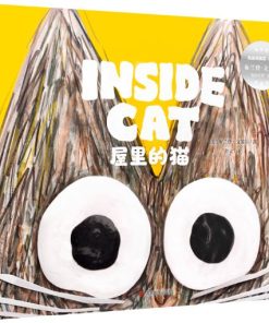屋里的猫