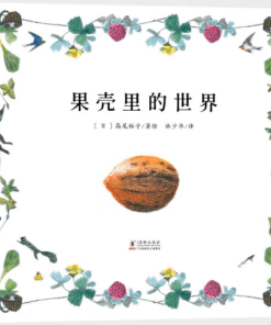 果壳里的世界