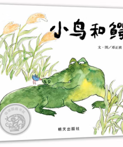 小鸟和鳄鱼