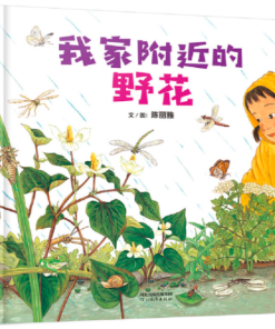 我家附近的野花