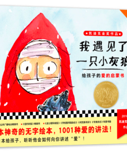 无字绘本：我遇见了一只小灰狼