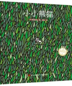小小熊猫