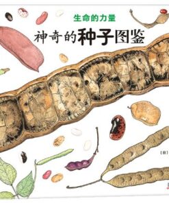 神奇的种子图鉴