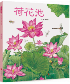 荷花池