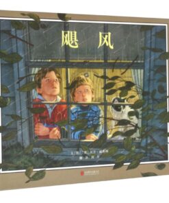飓风