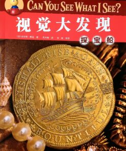 I SPY 视觉大发现：探宝船（平装）