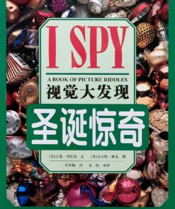 I SPY 视觉大发现：圣诞惊奇（平装）