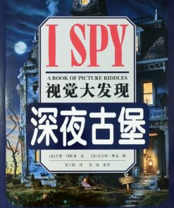 I SPY 视觉大发现：深夜古堡（平装）