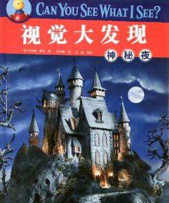 I SPY 视觉大发现：神秘夜（平装）