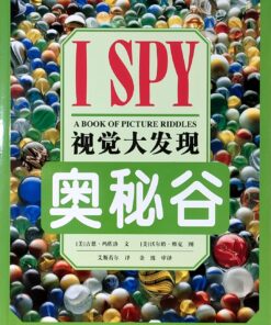 I SPY 视觉大发现：奥秘谷（平装）
