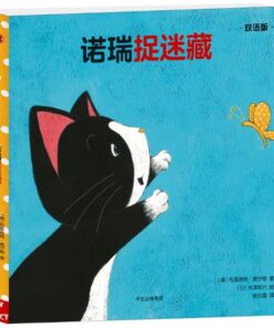 诺瑞捉迷藏