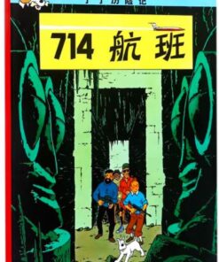 丁丁历险记：714航班
