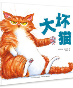 大坏猫