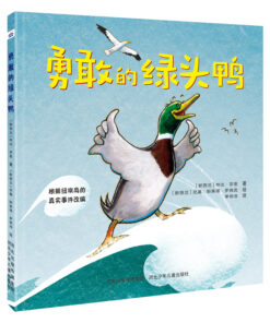 勇敢的绿头鸭